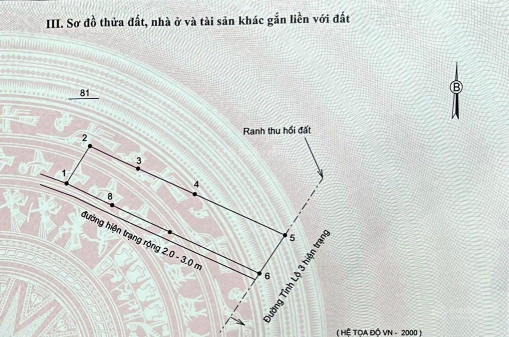 Bán lô góc mặt tiền Tỉnh Lộ 3, Phước Đồng hoa hậu TL 3, có sẵn 200m2 thổ cư giá 13,5 tỷ