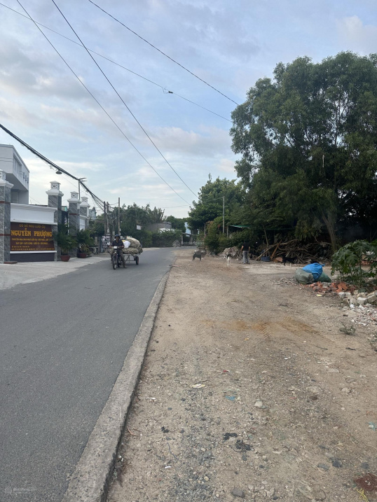 Bán đất biển đường Hoàng Văn Thái Long Hải, Hồ Chí Minh - Ảnh 0