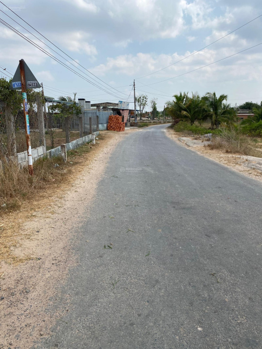 Chỉ 400 triệu cho lô đất 1000m2 trồng cây lâu năm sổ sẵn đường 5m quy ...