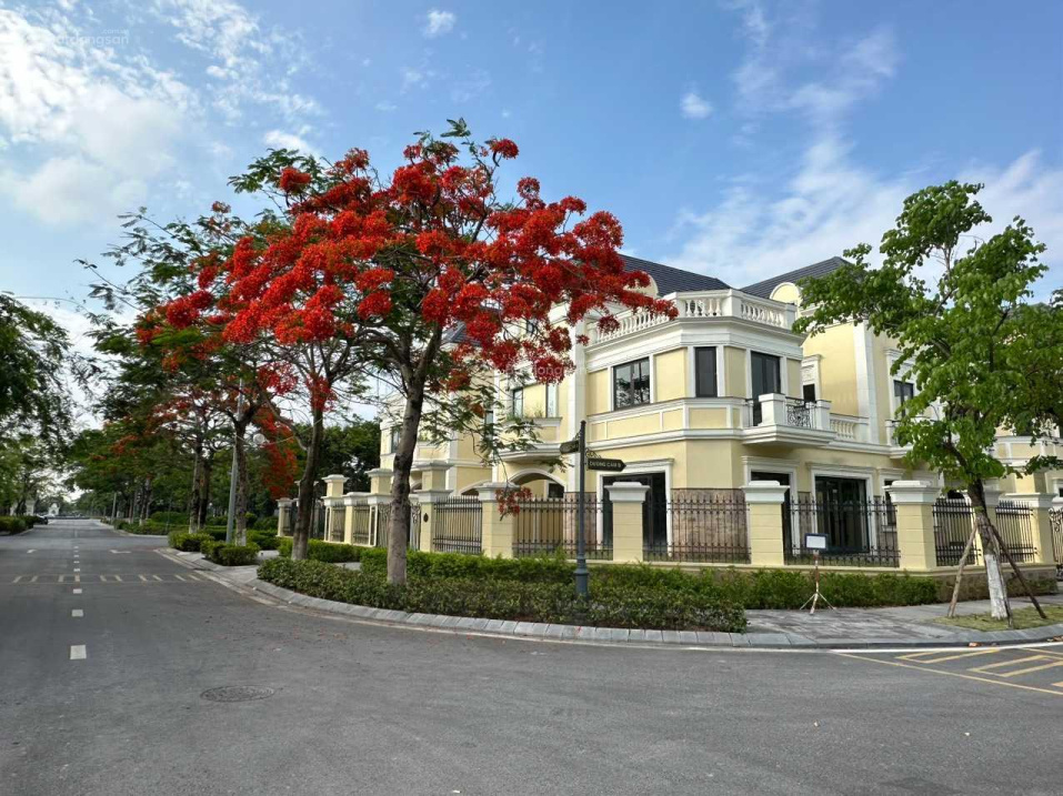 Khai xuân quỹ căn VIP 135m2-217m2-300m2 giá từ 150 - 200tr/m2(giá đầu tư, chuyên sâu, được việc)
