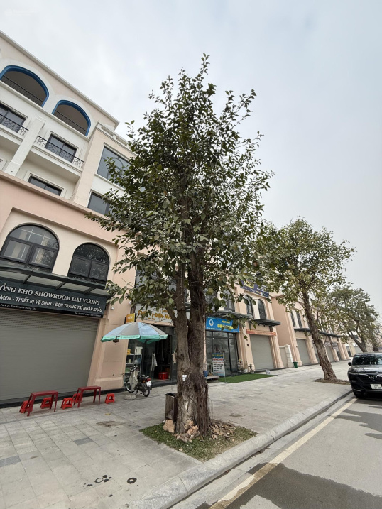 Ngộp bank cần bán gấp liền kề 48m2 tại khu đô thị Vinhomes Ocean Park, nhà hoàn thiện full 5 tầng