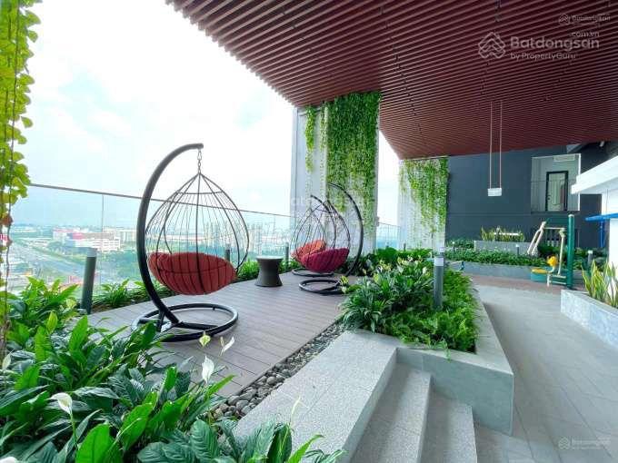 Cập nhật GIỎ HÀNG cho thuê và chuyển nhượng căn hộ The Emerald Golf View tháng 2/2025
