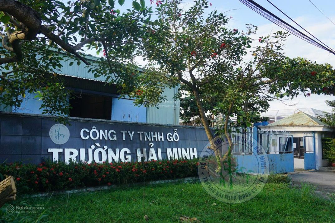 Cho thuê nhà xưởng diện tích 5000m2, trong đó diện tích xây dựng 2800m2