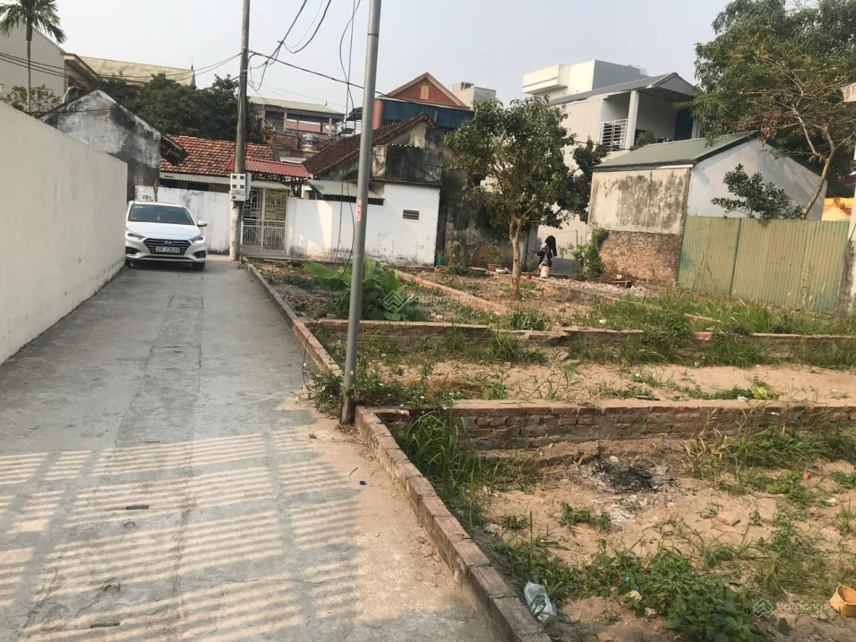 Đất phân lô Đức Thượng Hoài Đức 78 triệu/m² - Ảnh 2
