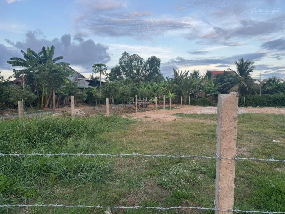 Hàng hiếm tại Ninh Hưng, Ninh Hòa, Khánh Hòa, 3,5tỷ, 752 m2 đã. tách sẵn 3 lô