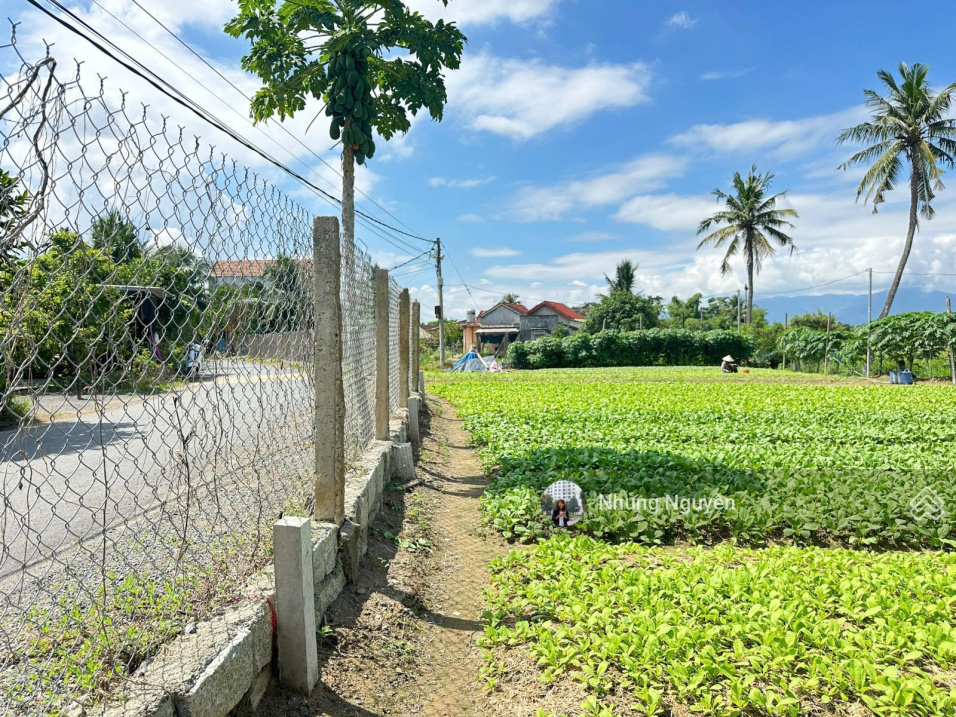 Chỉ 1,250 tỷ sỡ hữu lô đất rộng đường nhựa Diên Sơn, QH mở rộng 14m tiềm năng phát triển tốt 4