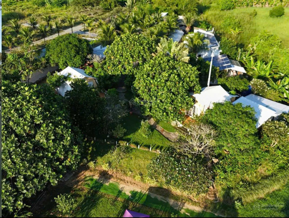 Chính chủ bán đất thôn 2 Diên Đồng view sông đẹp, hoàn thiện đầy đủ giá tốt, kinh doanh đỉnh 3