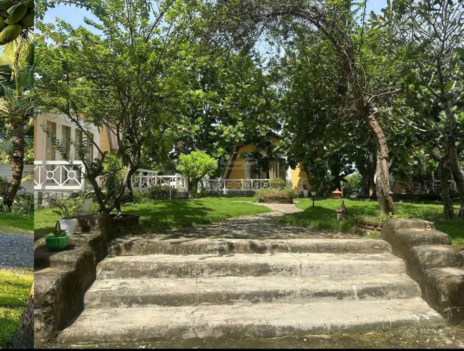 Chính chủ bán đất thôn 2 Diên Đồng view sông đẹp, hoàn thiện đầy đủ giá tốt, kinh doanh đỉnh 9