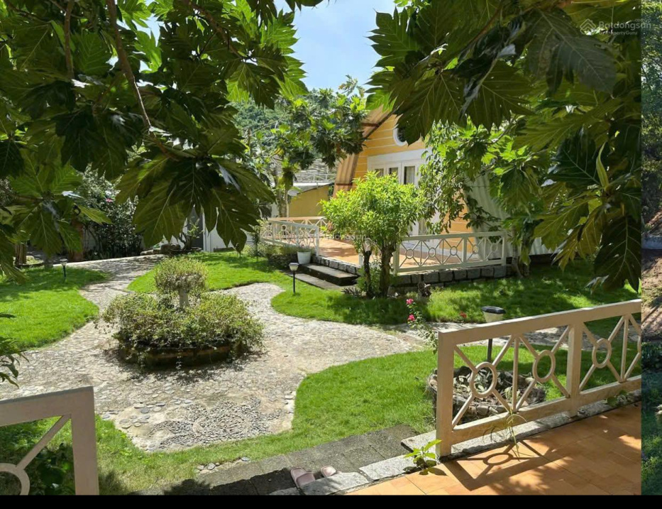 Chính chủ bán đất thôn 2 Diên Đồng view sông đẹp, hoàn thiện đầy đủ giá tốt, kinh doanh đỉnh 13