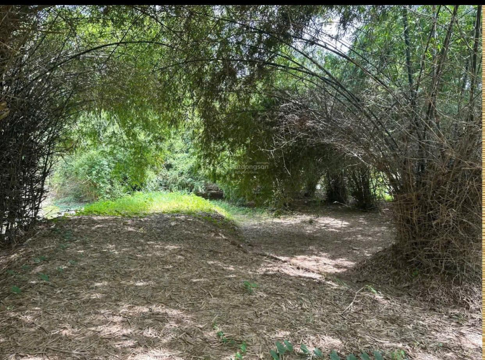 Chính chủ bán đất thôn 2 Diên Đồng view sông đẹp, hoàn thiện đầy đủ giá tốt, kinh doanh đỉnh 17