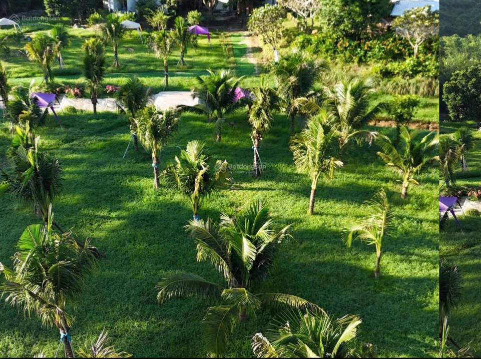 Chính chủ bán đất thôn 2 Diên Đồng view sông đẹp, hoàn thiện đầy đủ giá tốt, kinh doanh đỉnh 16