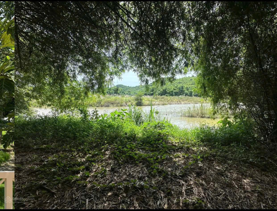 Chính chủ bán đất thôn 2 Diên Đồng view sông đẹp, hoàn thiện đầy đủ giá tốt, kinh doanh đỉnh 15