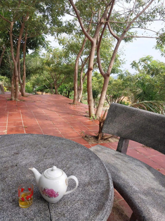 Bán 2000m2 khu homestay đang xây dựng dở dang trong dân