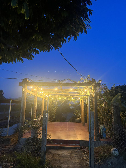 Bán đất làm farm có 100% thổ cư - Ảnh 0