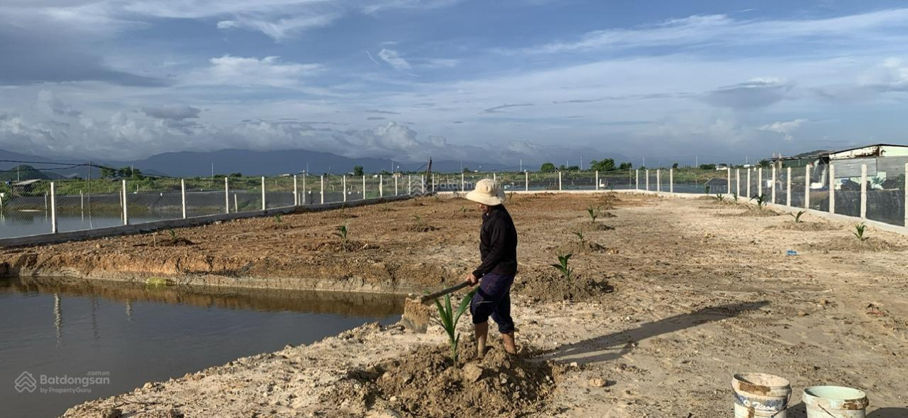 Bán đất đẹp tại Ninh Thọ, KĐT Đông Bắc T. X Ninh Hoà, Nam Vân Phong DT 1428 m2, thổ cư 100%