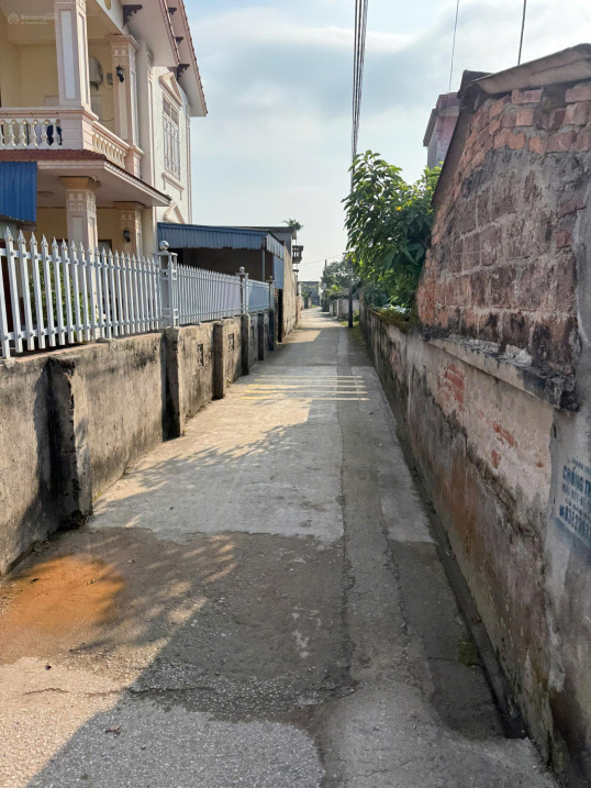 Bán đất Cao Mật An Thọ gần cụm CN An Thọ - Ảnh 6