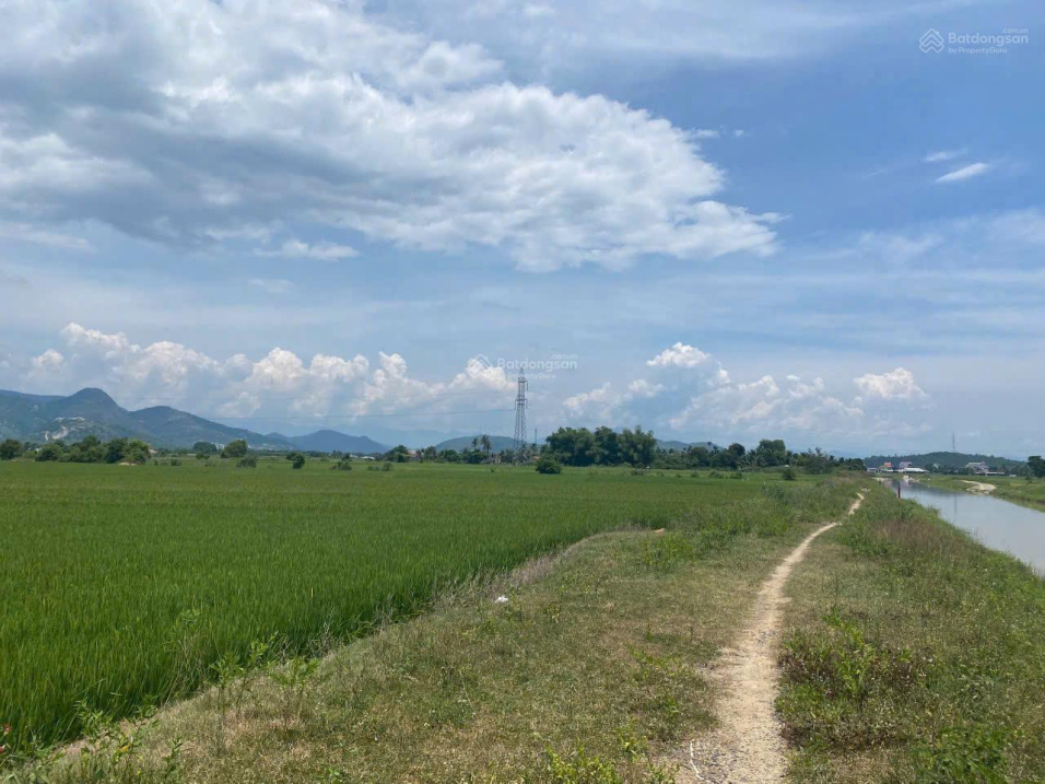 Chính chủ cần bán 845m2 đất lúa xã Bình Lộc - sổ hồng riêng