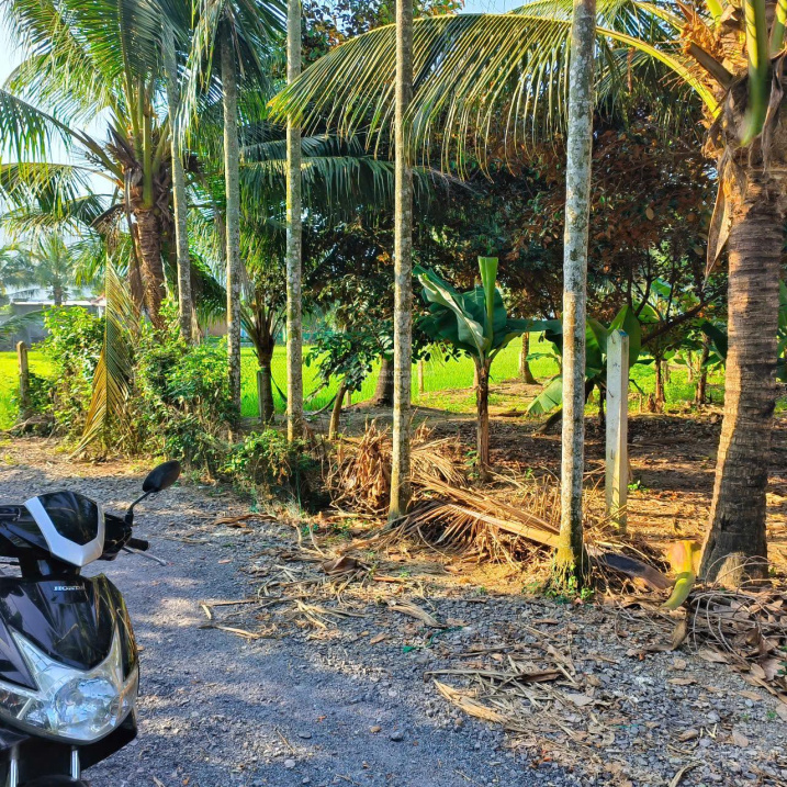 Chính chủ gửi bán 233.5m2, giá chỉ 1tỷ990, rẻ nhất Xã Diên Toàn cũ, 80 thổ cư