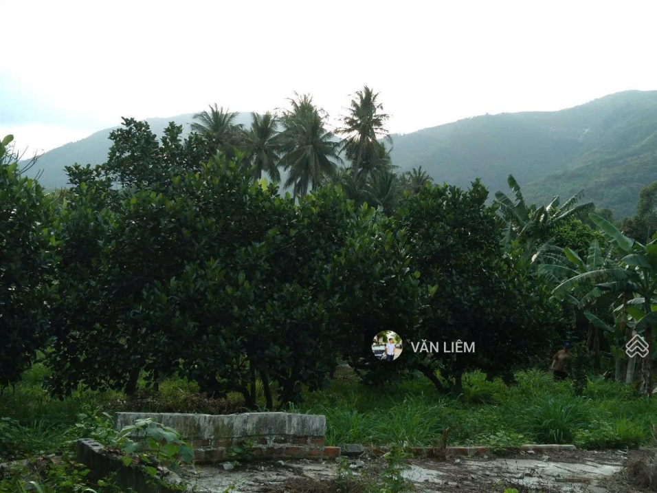 Cần bán lô đất vườn Phước Sơn - Phước Đồng cũ. Giá 2tr/m2 gần Tỉnh lộ 3