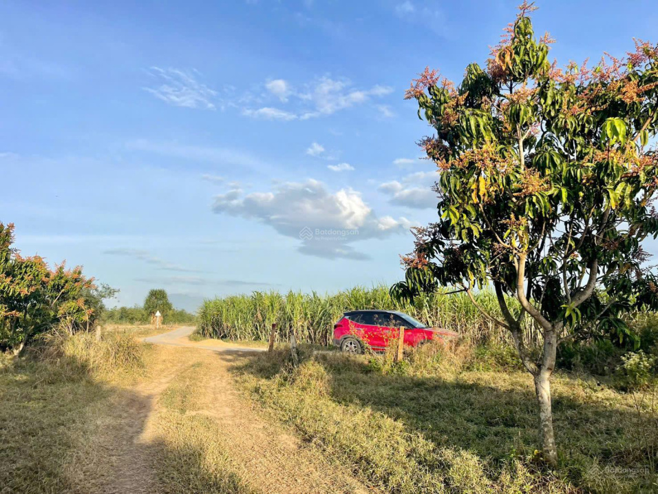 Bán đất Nam Ninh Hòa - 84m² full thổ cư, cách ĐT5 chỉ 200m, giá 285 triệu. LH 0899 509 *** Lành