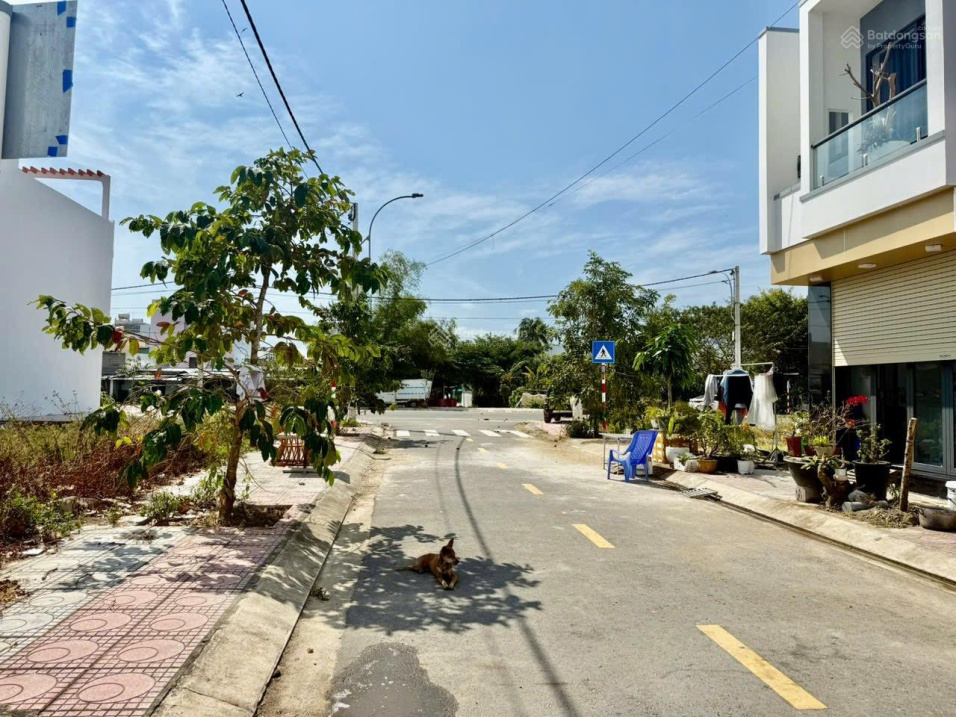 Lô TĐC Ngọc Hiệp 62m2 hàng thượng phẩm, giá 3 tỷ 950tr 5