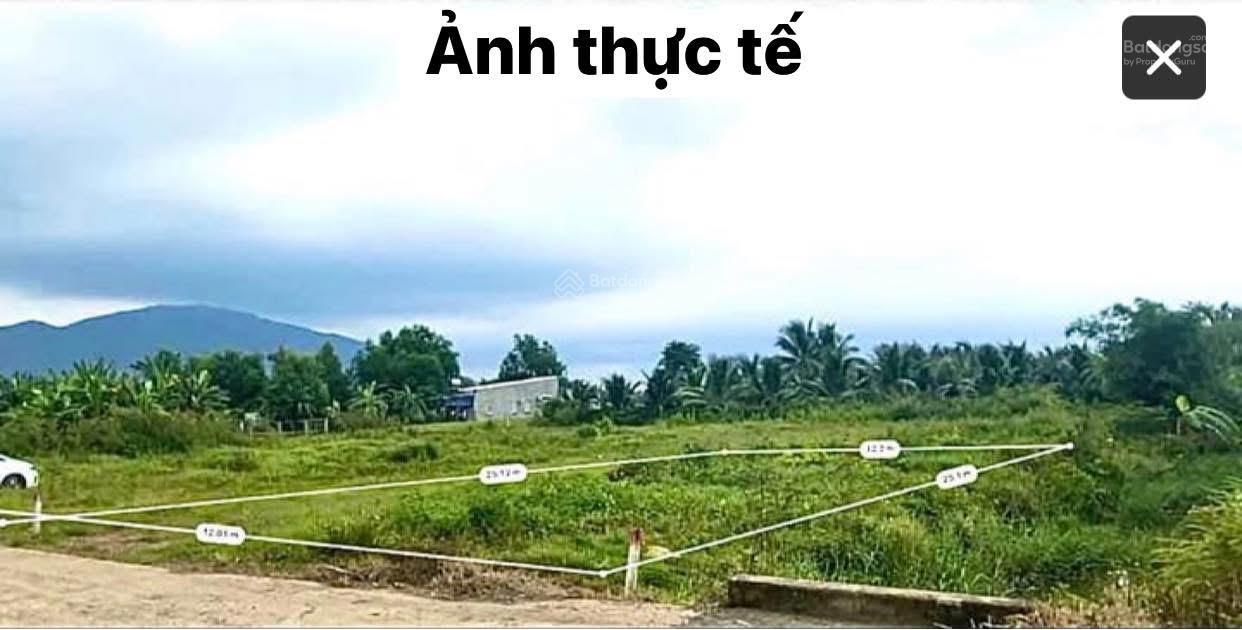 SIÊU PHẨM LÀM NHÀ VƯỜN BIỆT THỰ - Ảnh 5