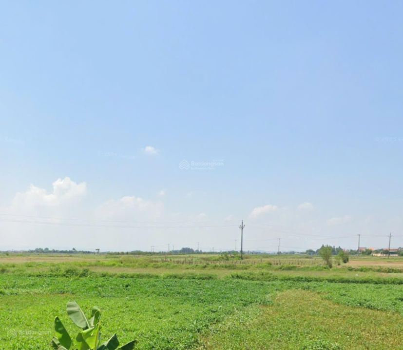 Bán đất xã Diễn Hoa Diễn Châu Nghệ An - 600m2 - Ảnh 2