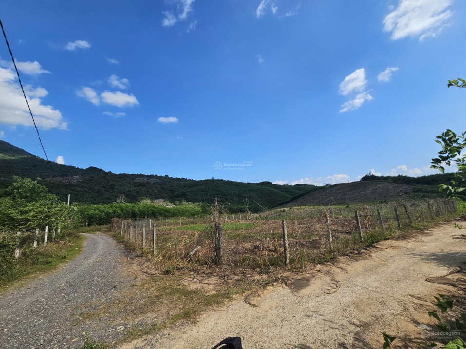 Chính chủ hạ giá bán nhanh lô đất vườn siêu đẹp tại Khánh Đông