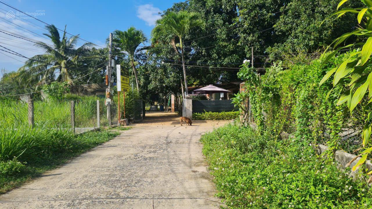 Đất đẹp Cam Hiệp Nam, mặt tiền 6m giá chỉ 1.380tr