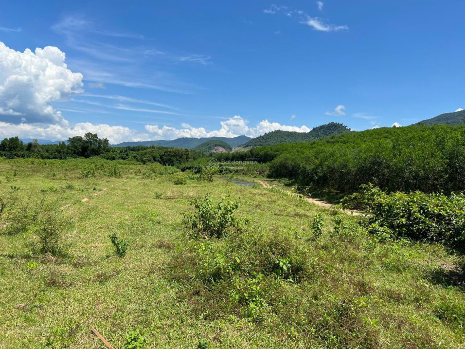 Bán đất vip đẹp giáp suối tâm đắc cạnh tỉnh lộ khu dân cư Khánh Đông 10