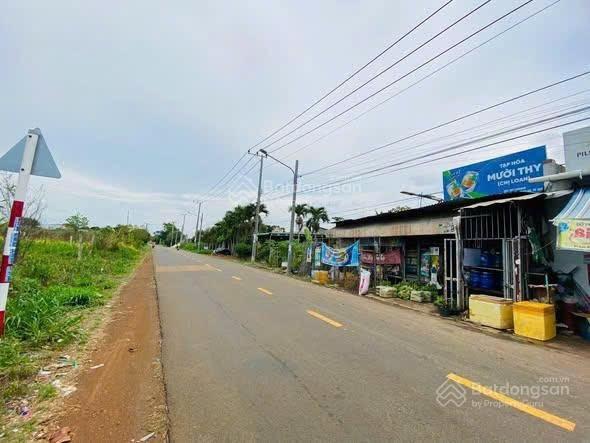 Bán 474m2 đất Long Tân, Đất Đỏ, TP. HCM - Ảnh 0