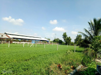 Đất vườn Rạch Cây Xanh 500m2 giá 1,35 tỷ Trại dê Đời Tân Bình Mỹ Củ Chi