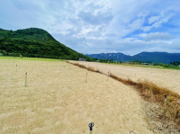 Mặt biển Ninh Vân, cát trắng trải dài (ô tô vào ổn áp) Giá: 26,8 tỷ