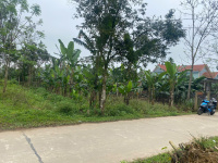 Bán đất lộc an, phú lộc, thừa thiên huế