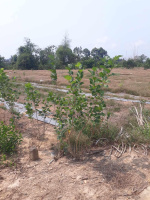 Thanh lý gấp Lô đất Daklua, Đồng Nai
