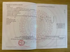 Ảnh đại diện