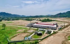 Ảnh đại diện