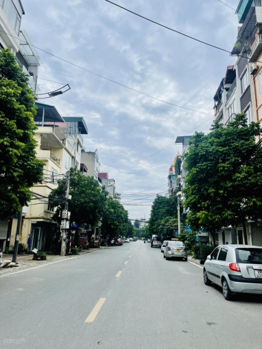Kiến